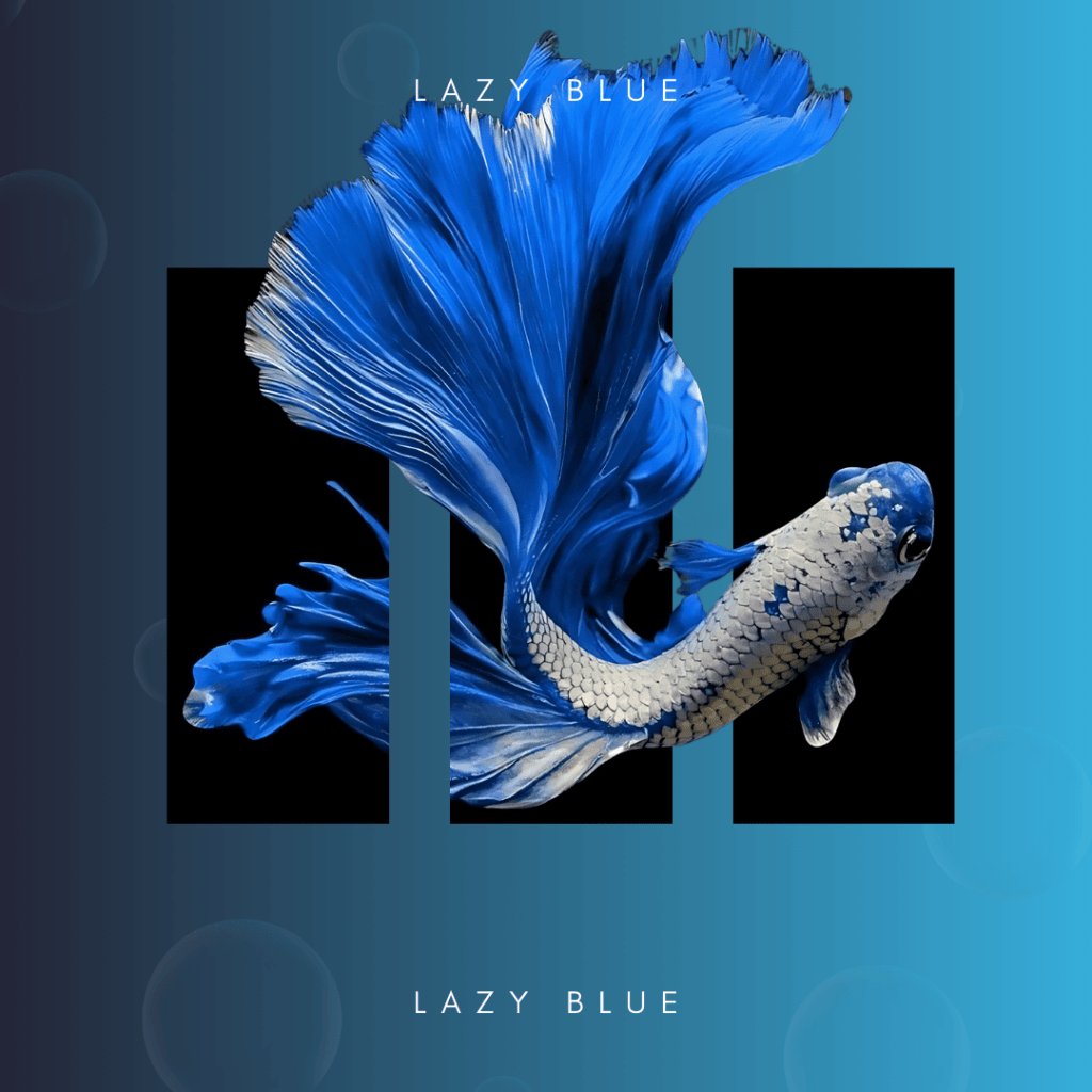 Poisson betta bleu en mouvement avec un effet artistique minimaliste sur fond dégradé bleu et noir.