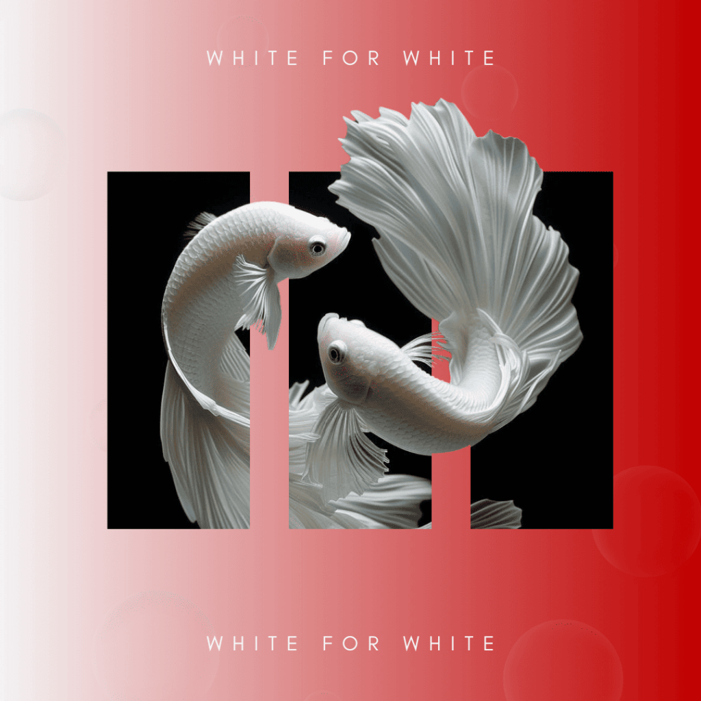 Création graphique minimaliste avec un poisson blanc sur fond sombre, idéal pour branding et réseaux sociaux.